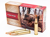 Охотничий патрон .308W Norma 170/11.0 Tipstrike 17435 (20)